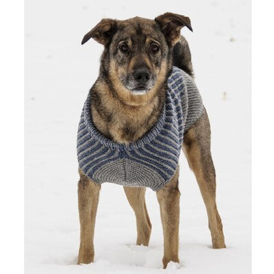 Blue Sky Fibers Bird Island Dog Sweater Knitting Pattern