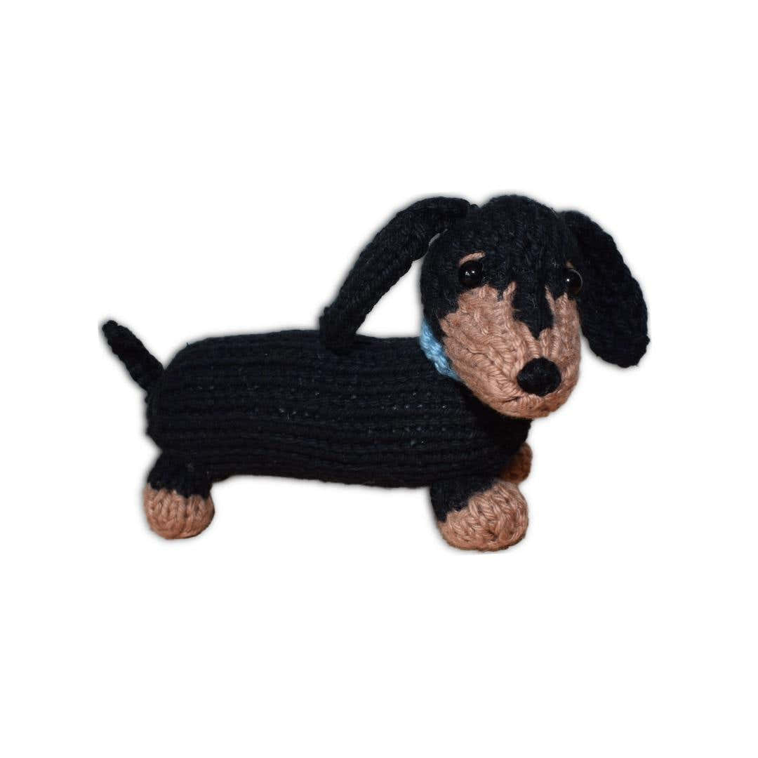 Dachshund Puppy