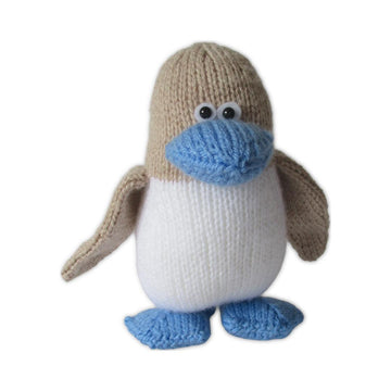 Blue Footed Booby Bird