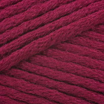 Pimpernel (5742)