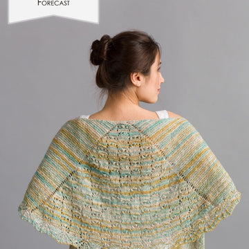 Classic Elite Yarns 1506 Forecast