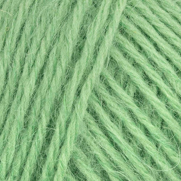 Late Summer Green (00904)