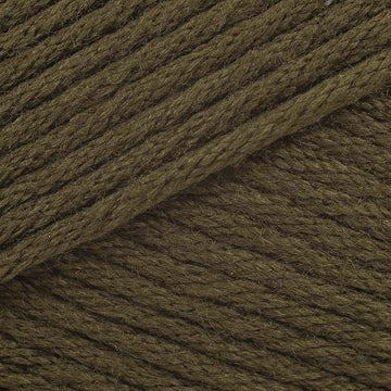Rabe (9754)