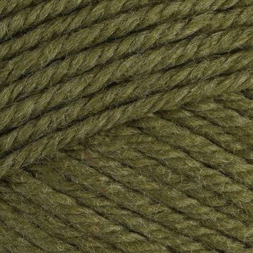 Lentil (3330)