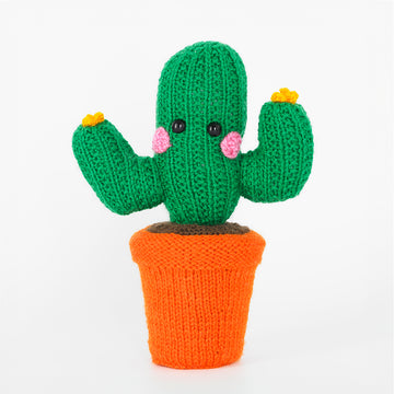 Paintbox Yarns Botanical Buddies Knitting Pattern