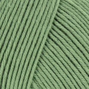 Sage (0092)
