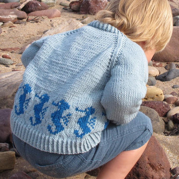 Seahorse Jumper