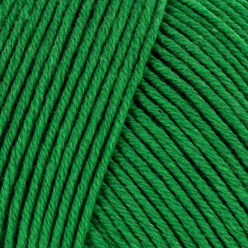 Grass (0117)