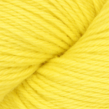 Golden Kiwi (1070)