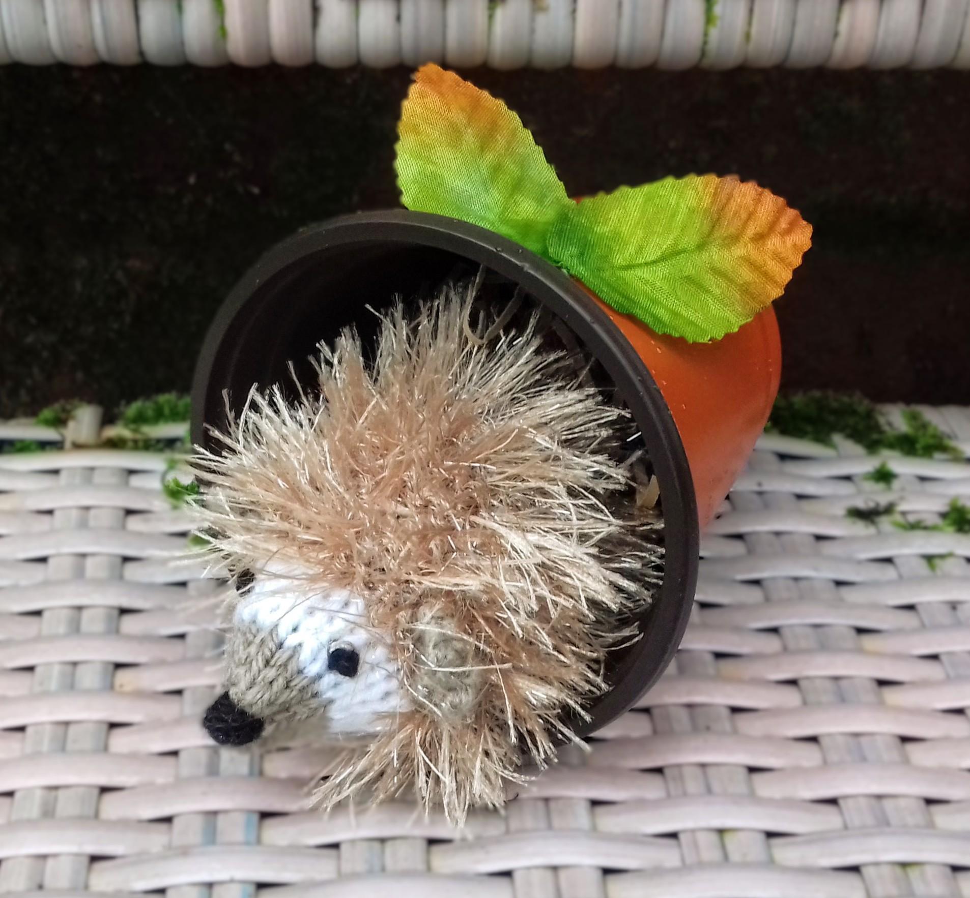 Waking Hedgehog - Creme Egg Cover