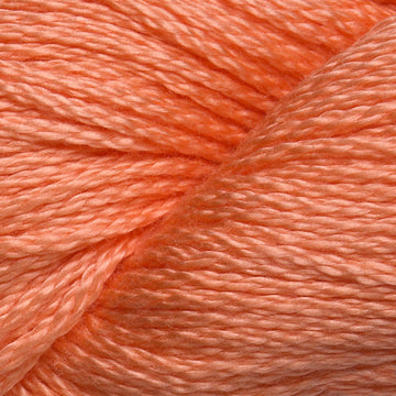 Apricot (121)