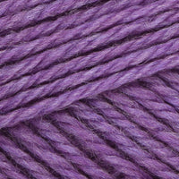 Aster (83146)