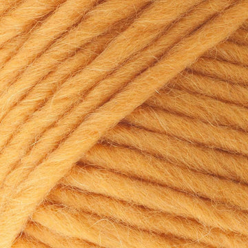 Sunburst Gold (M14)