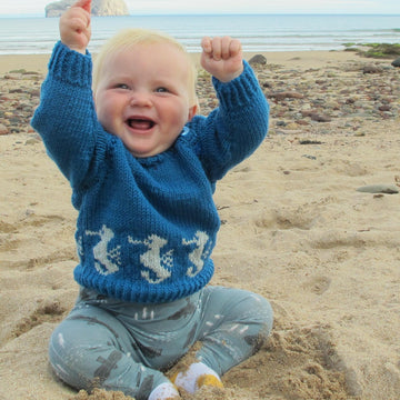 Seahorse Jumper