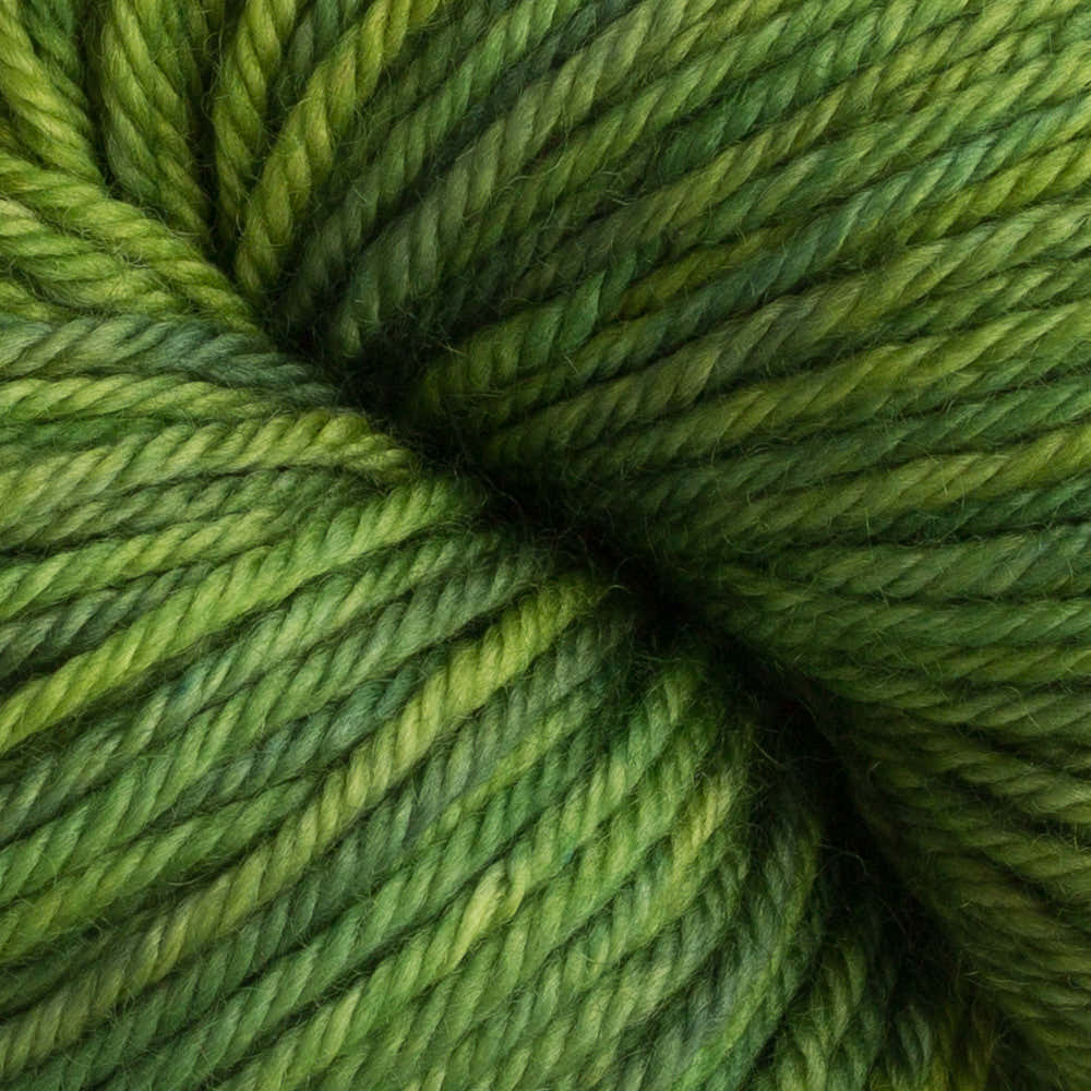 Dream in Color Classy Yarn - Merino Wool Worsted