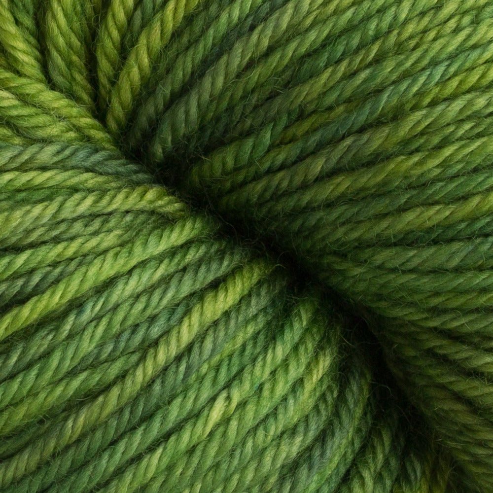 Dream in Color Classy Yarn - Merino Wool Worsted