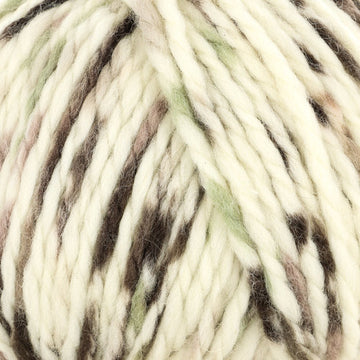 Tahki Yarns Idaho 5 Ball Value Pack Yarn - Wool Chunky
