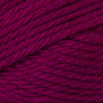 Beet (53)