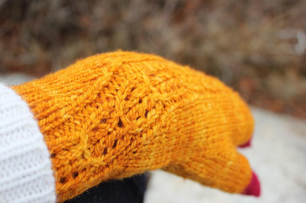 Ginger Beer Mitts