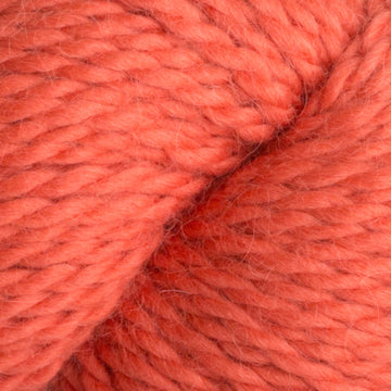 Deep Sea Coral (645)