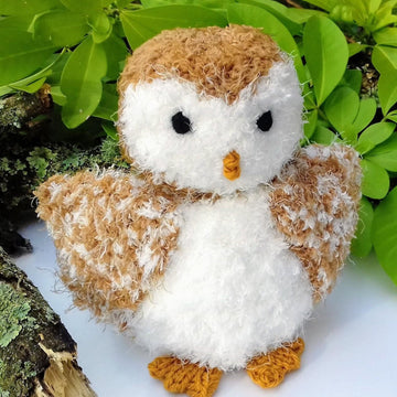 Baby Barn Owl - Chocolate Orange Cover