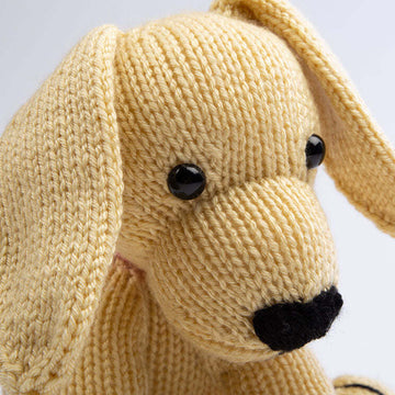 Deramores Dexter the Labrador PDF