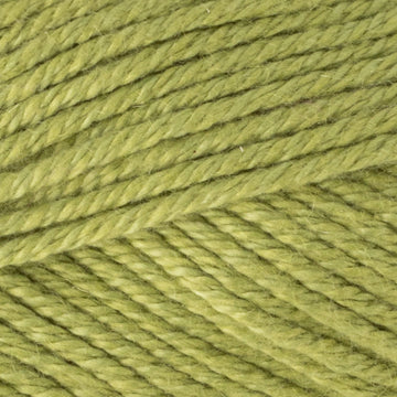 Green Apple (10)