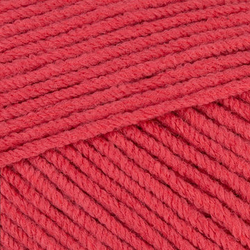 Coral Rose (227)