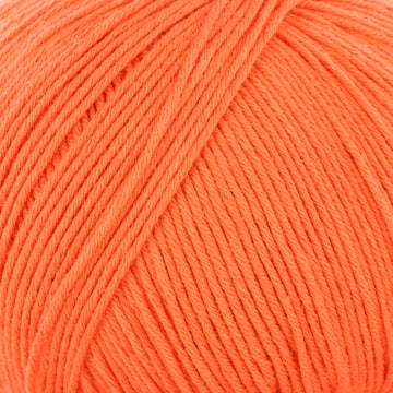 Carrot Cake (103)