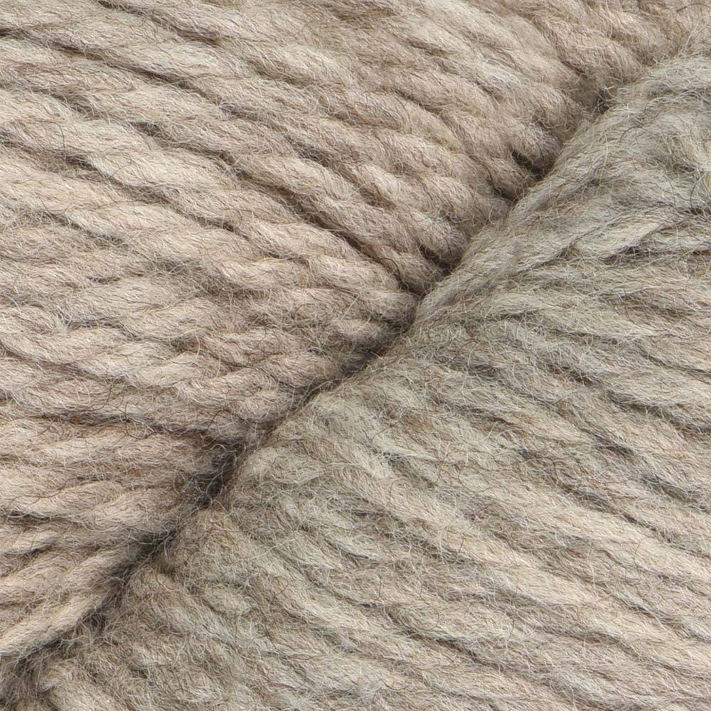 Cascade Yarns Ecological Wool Yarn - Wool Chunky