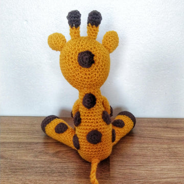 Baby Giraffe