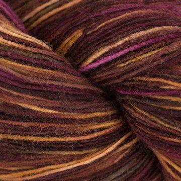 Loro Barranquero (176)