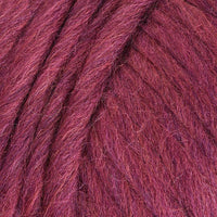 Raspberry (0746)