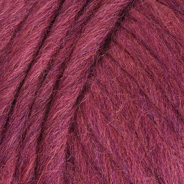 Raspberry (0746)