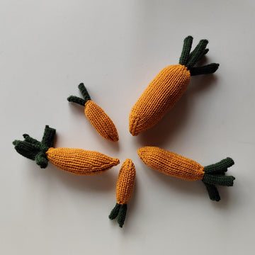 Cute Chantenay Carrot