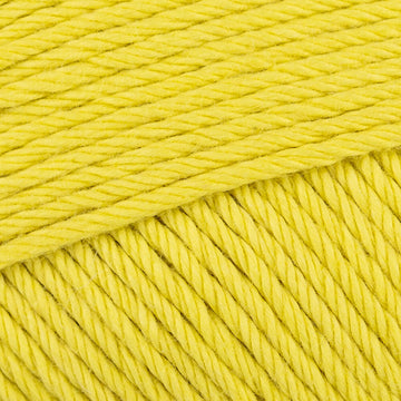 Sherbert lemon (498)