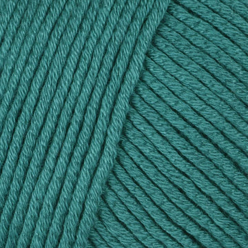 Teal (22)