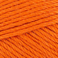 Pumpkin (508)