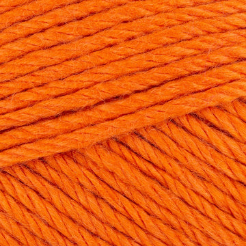 Pumpkin (508)