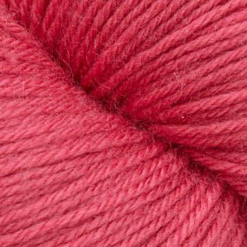 Flamingo Pink (5647)