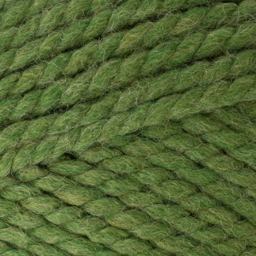 Grass (131)