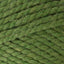 Grass (131)