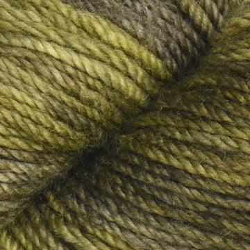 Chircas (45)