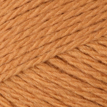Butternut (5329)