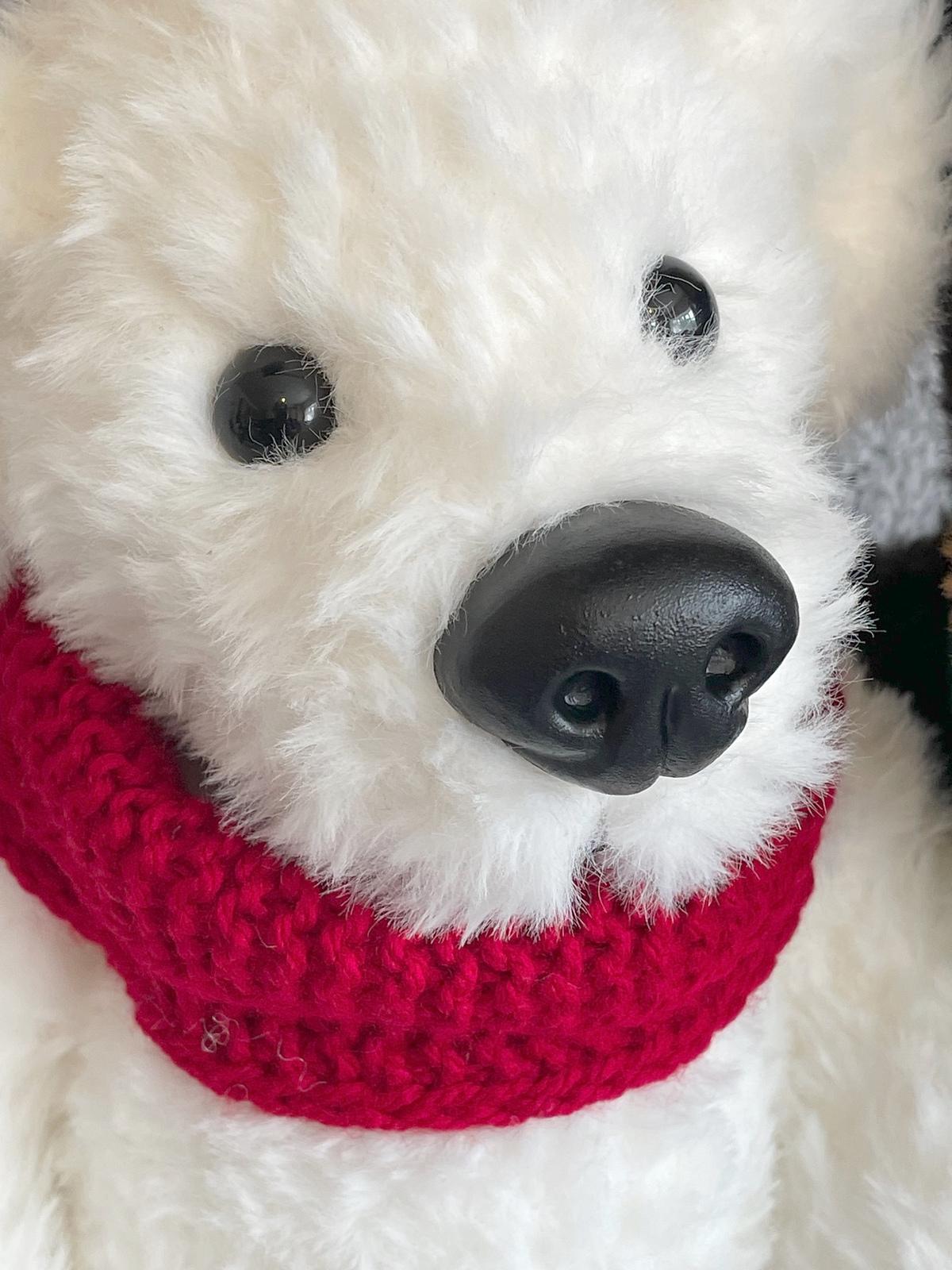 Polar and Grizzly Bear Cousins