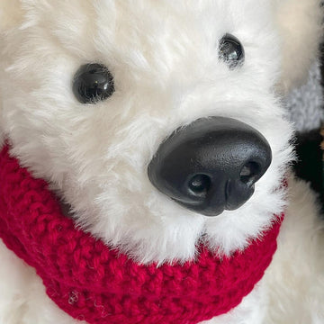 Polar and Grizzly Bear Cousins