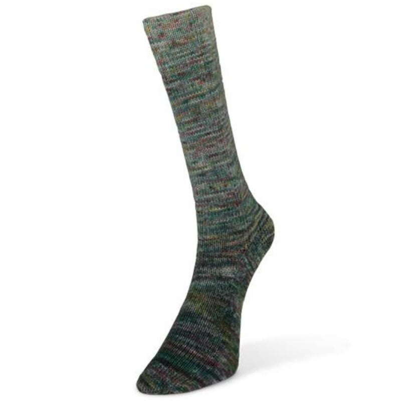 Laines Du Nord Paint Gradient Sock Yarn - Wool 4 Ply