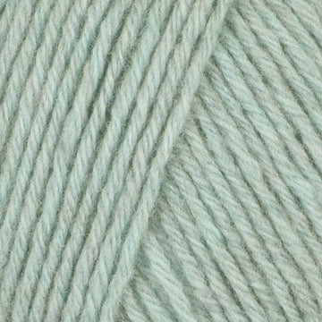 Mint (201328)