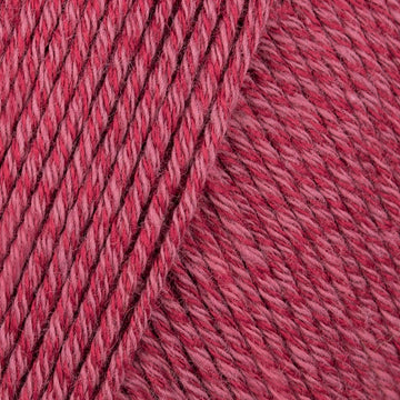 Brambles (127)