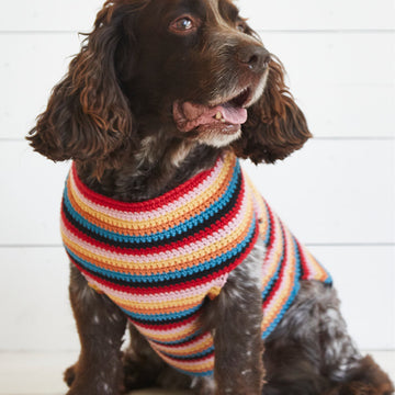 Debbie Bliss Crochet Dog Coat Set Pattern